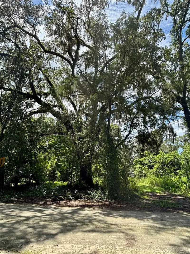 Lot 28 Sw 109 Ln, FL