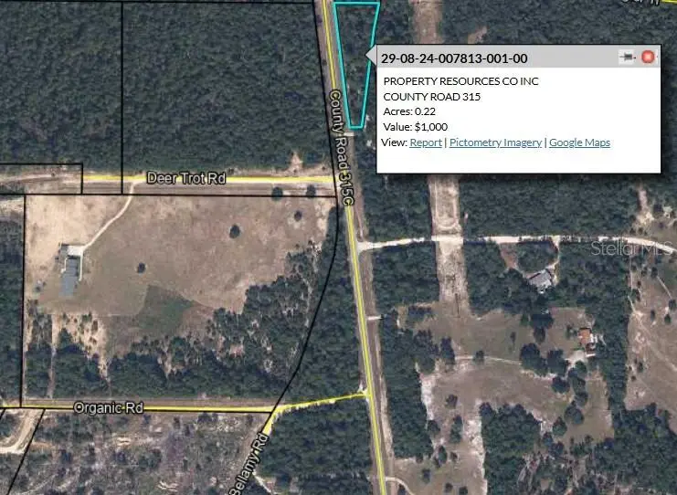 County Road 315, FL