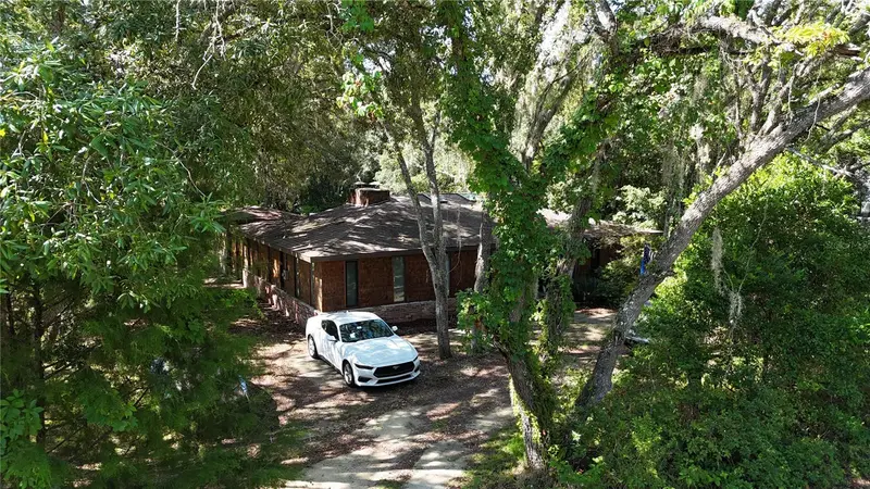 34146 Umbrella Rock Dr, FL