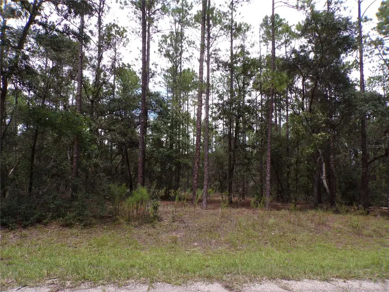 601 E Marquette Ln, FL