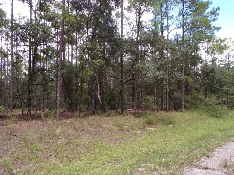 601 E Marquette Ln, FL
