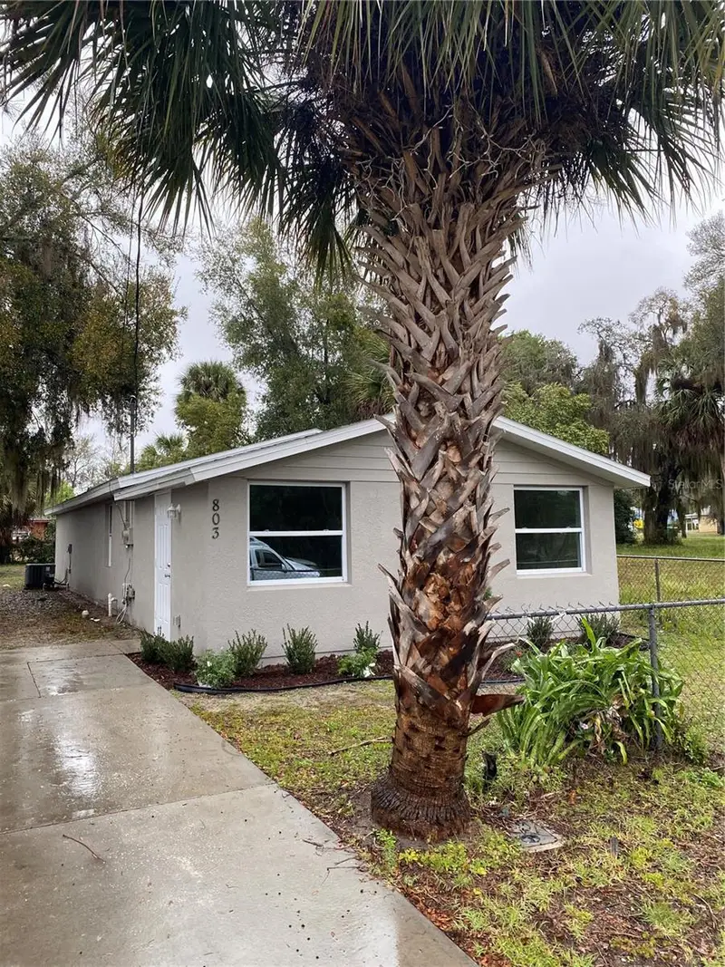 803 E Hazzard Ave, FL