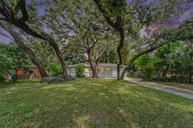 8121 N Ola Ave, FL