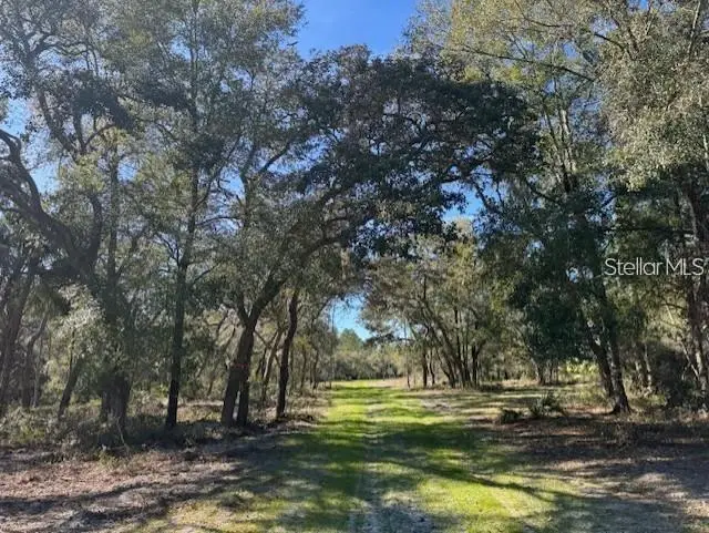 Tbd Ne 150th Ave Rd #Lot 5, FL