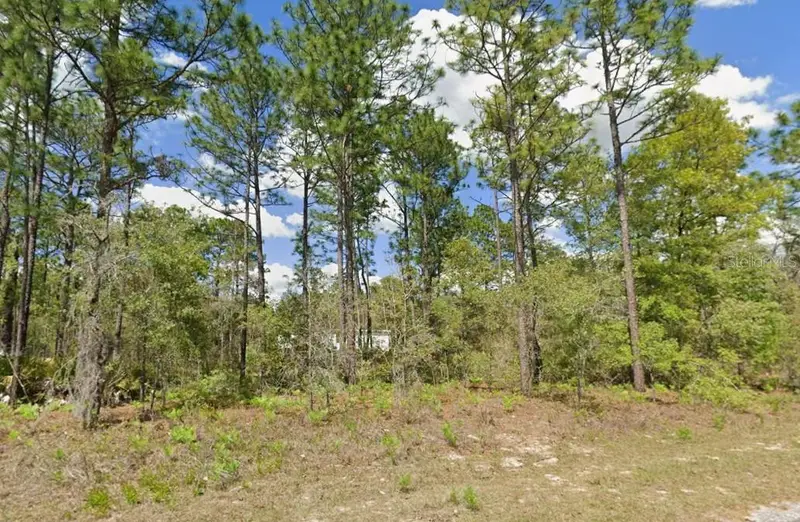 2175 W Galaxy Ln, FL