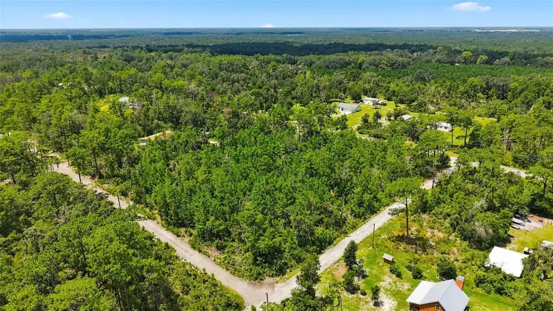 0 Lanier (Lot 1) Ave, FL