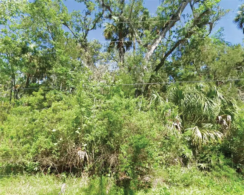 10243 W Palmetto St, FL