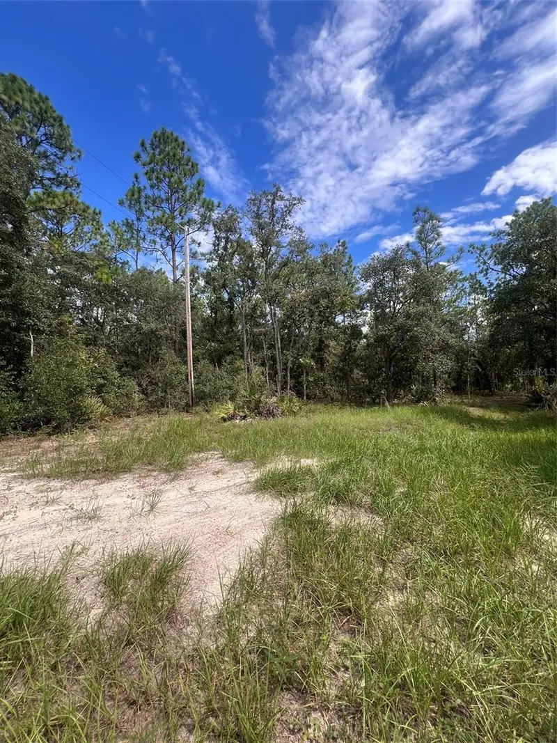 5614 S Georgian Rd, FL
