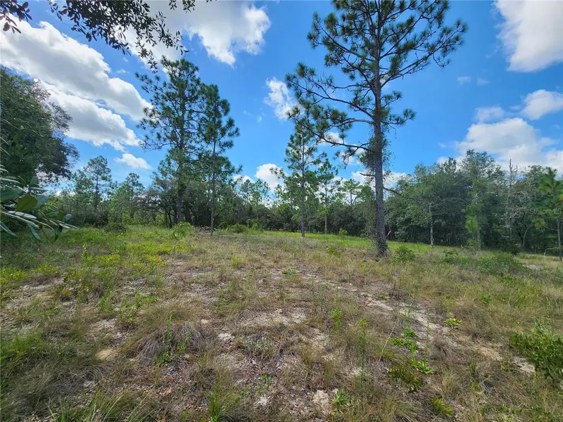 Rainbow Lakes Estate listing