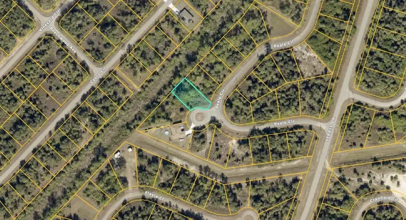Peale Lot #9 Ct, FL