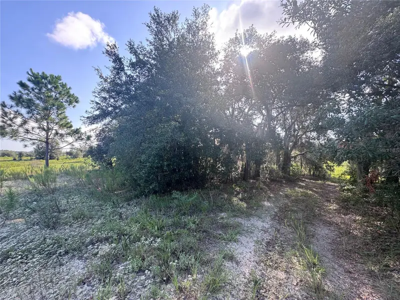 2251 E Four Seasons Ln, FL