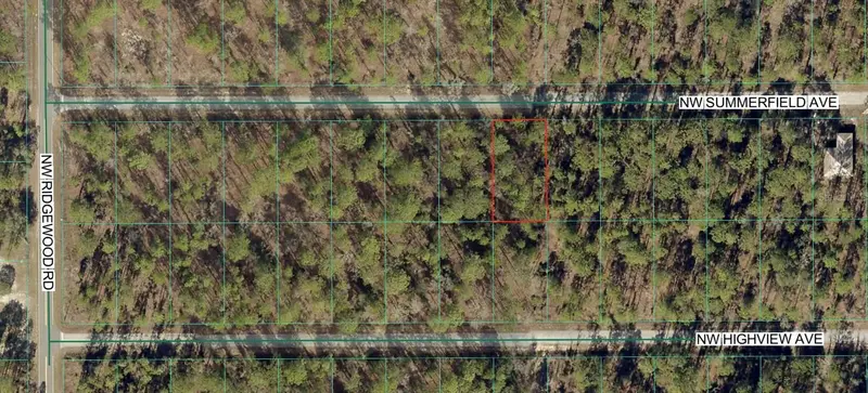 Lot 9 Nw Summerfield, FL