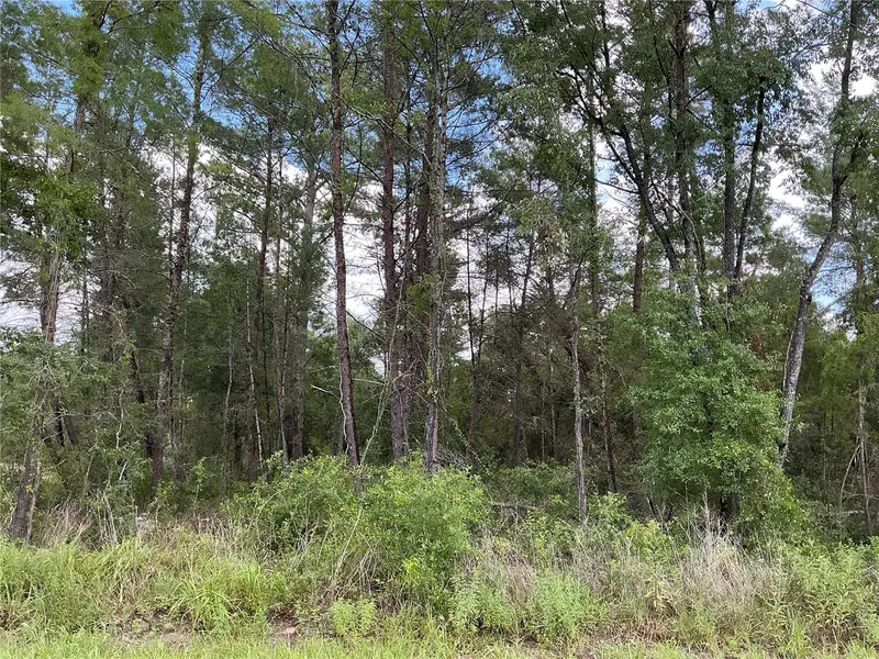 Lot 1 Bay Court Pass, FL