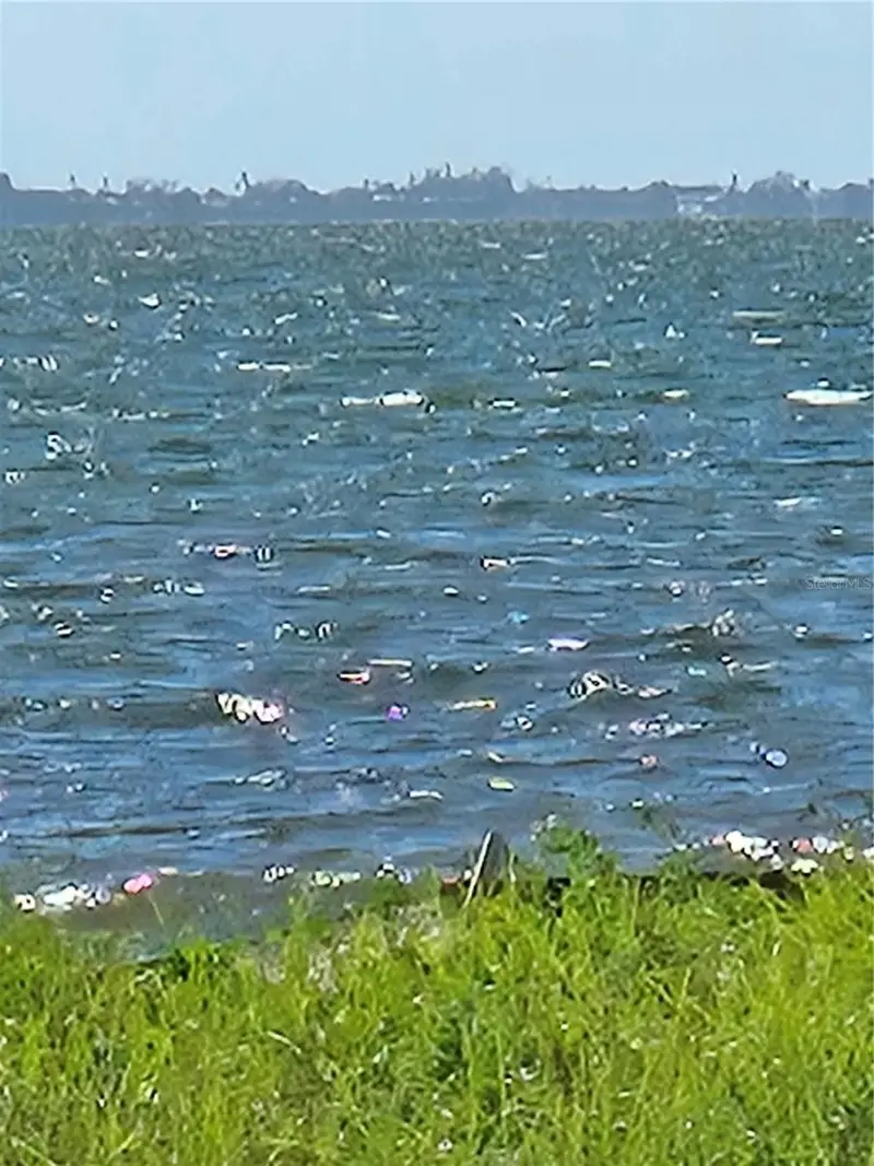 333 N. Shore Dr, FL