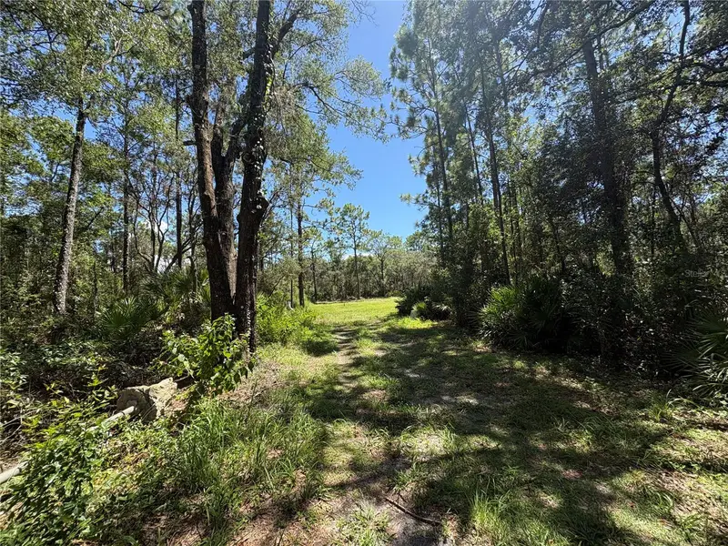 394 N Florene Pt, FL