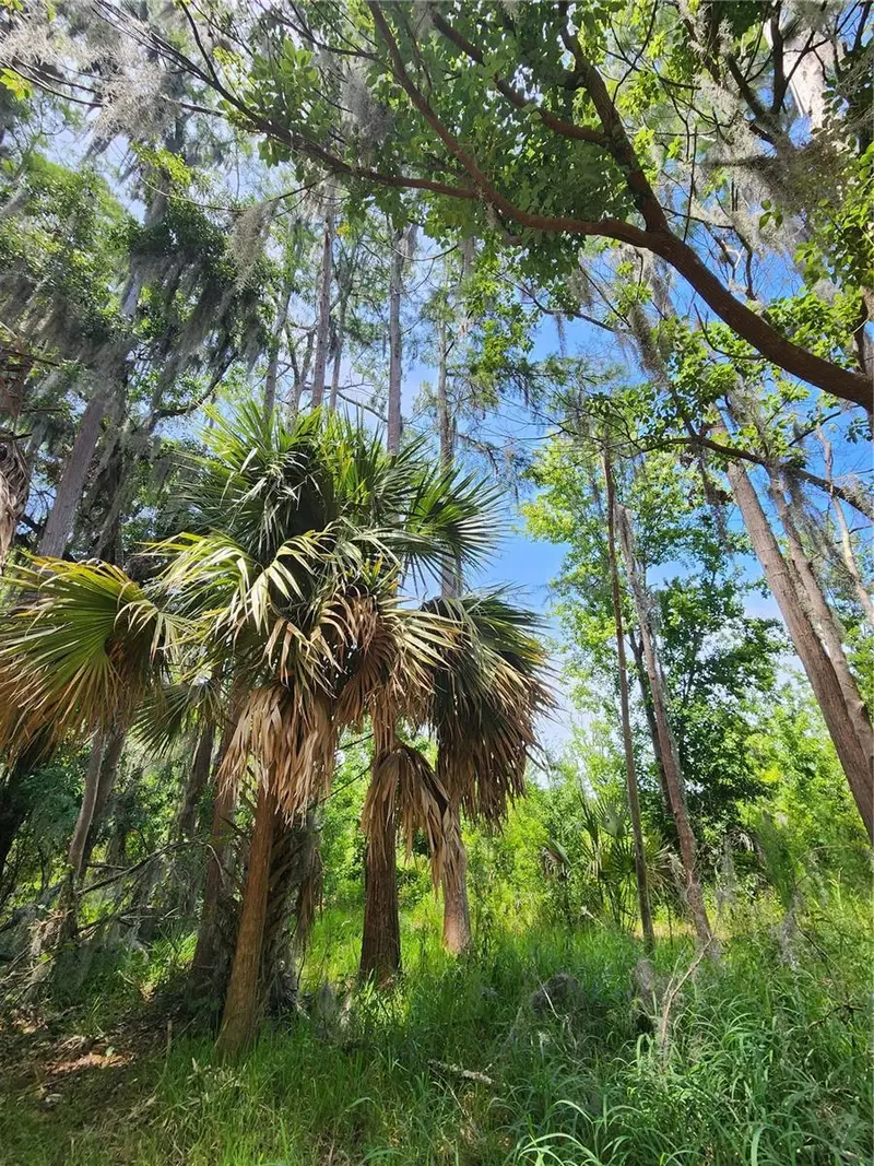 Arrowhead Blvd, FL