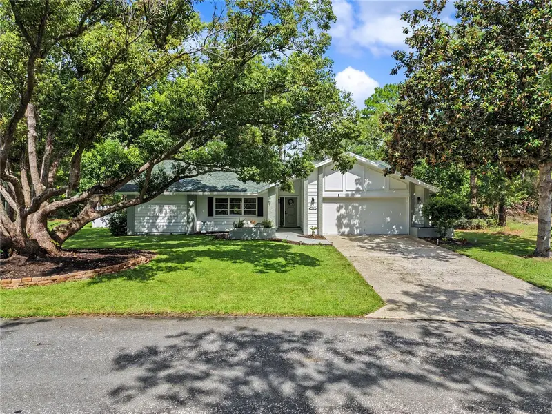 10 Colubrina Ct, FL