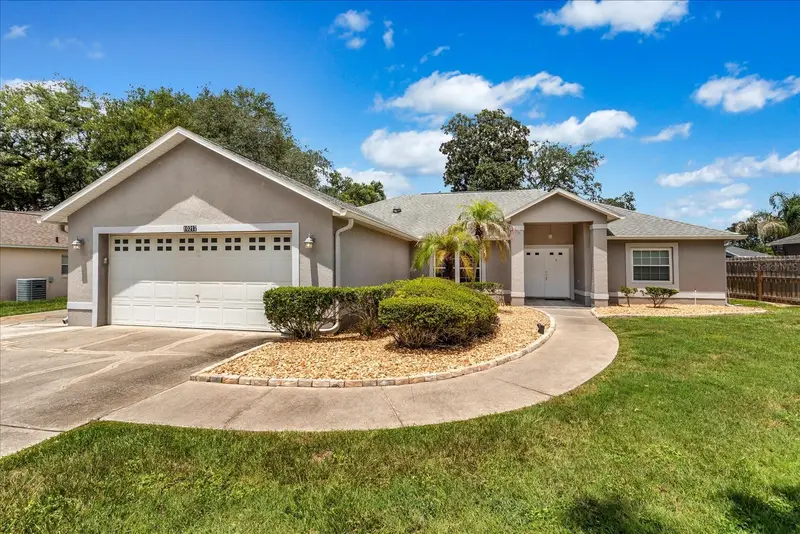 10217 Spring Moss Ave, FL