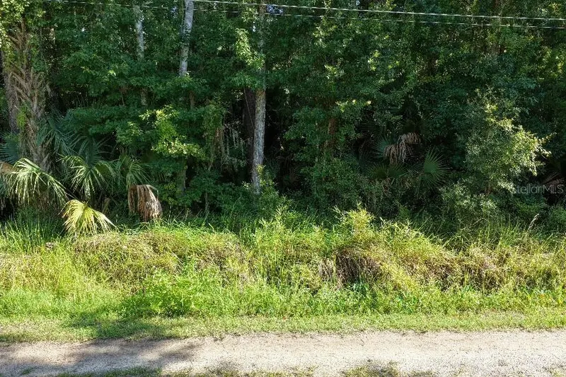 Gobbler Rd, FL
