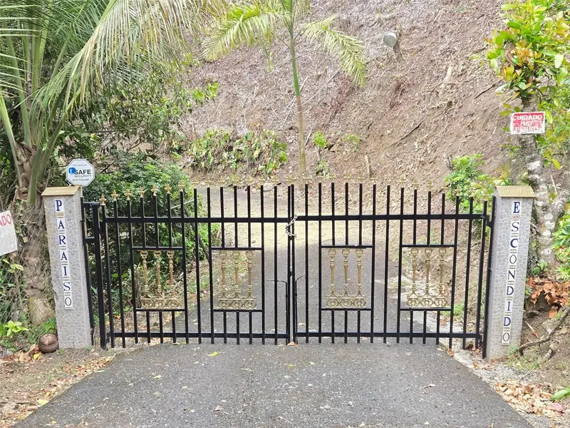Pr 156 Km. 23.9 Rio Hondo Ward, PR