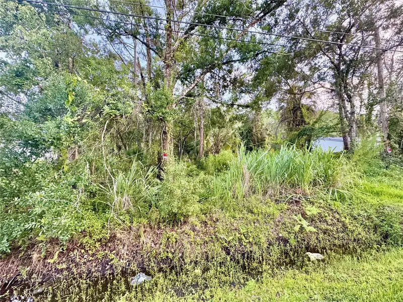 18704 16th Ave, FL