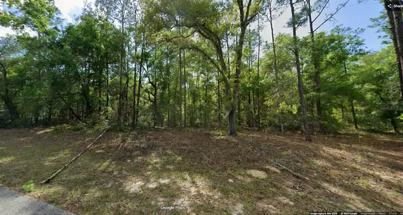 11286 N Schult Ter, FL