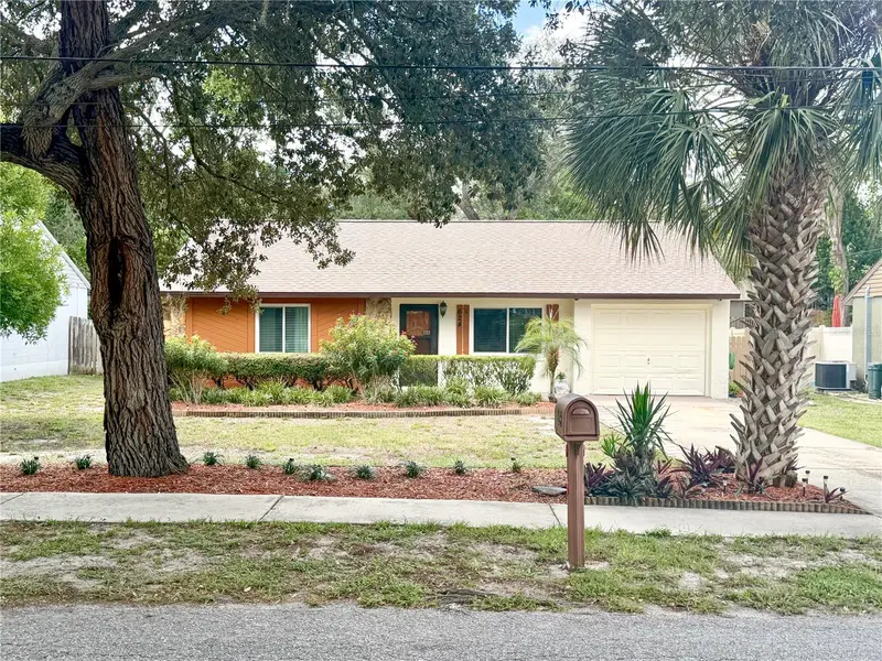 624 E Spruce St, FL