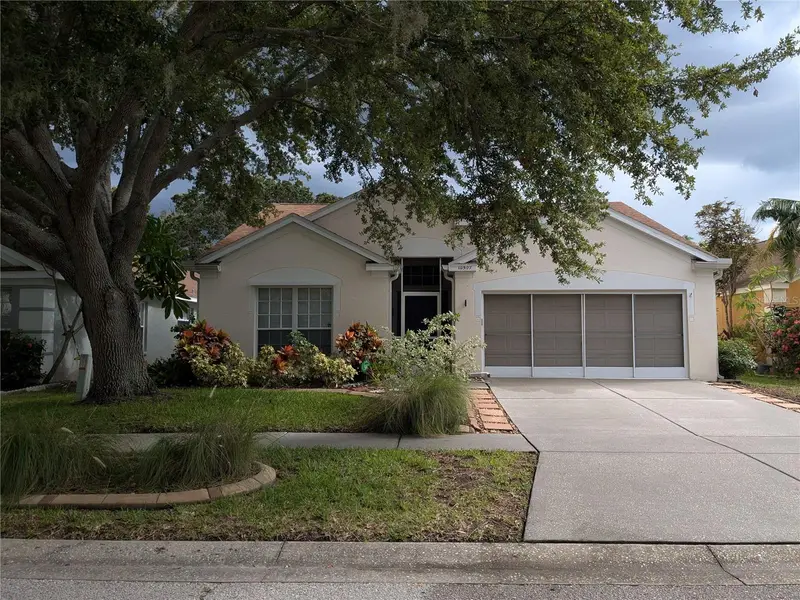 10507 Walker Vista Dr, FL