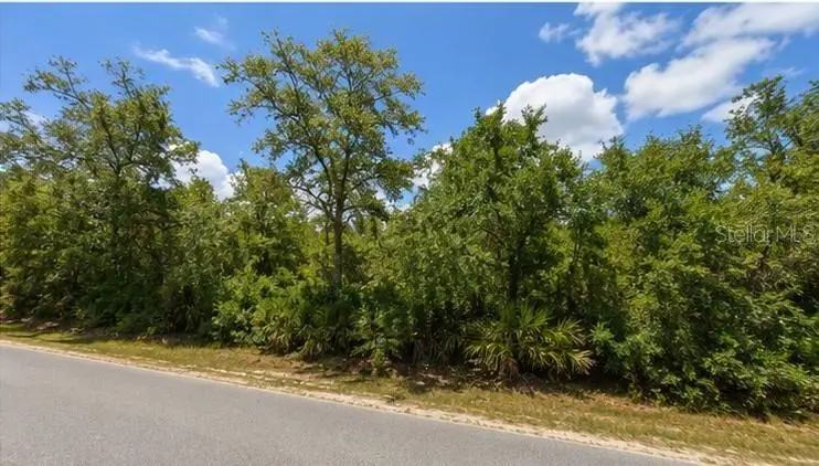 00 Country Rd, FL