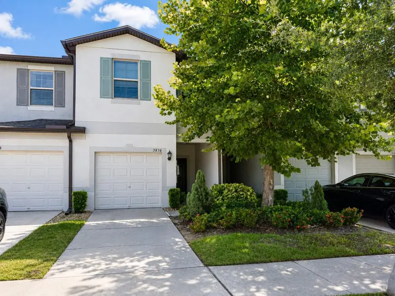 3836 Cat Mint St, FL