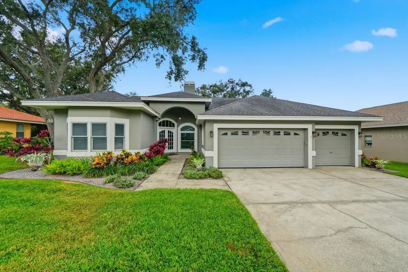 Dunedin listing