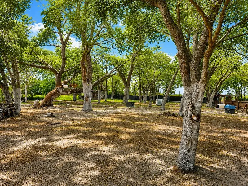 Mammoth Grove Rd, FL