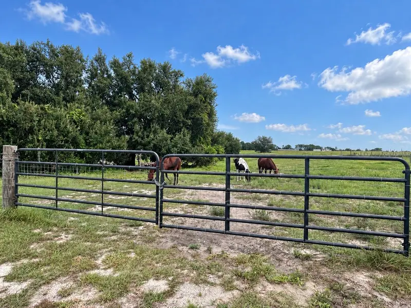 Mammoth Grove Rd, FL