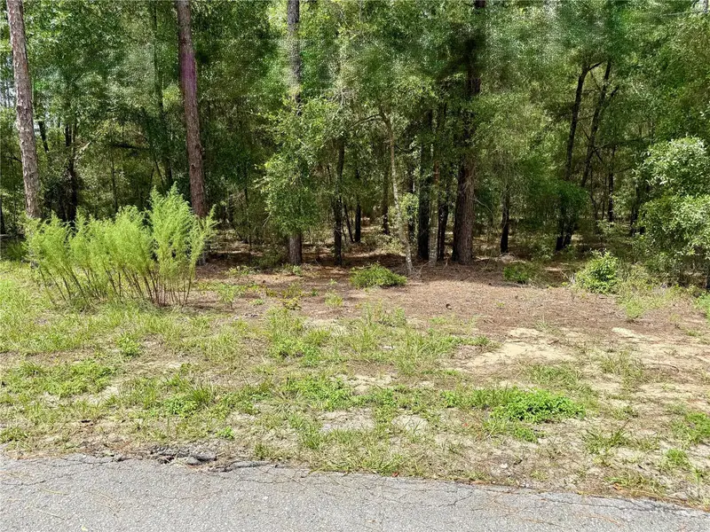 Sw 205th Circle, FL