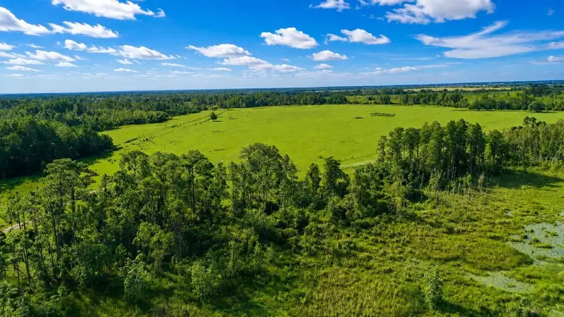 Old Polk City Rd, FL