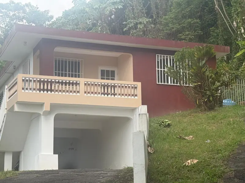 Barrio Santa Olaya Sector Collores, PR