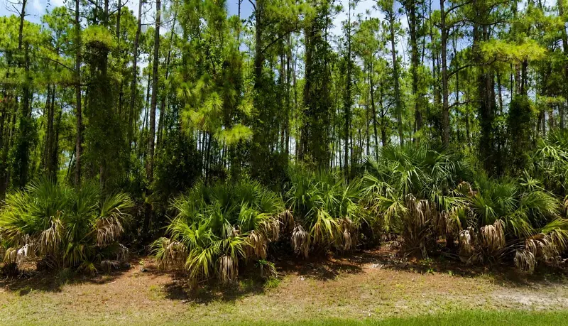 00 Kedgewick Ln, FL