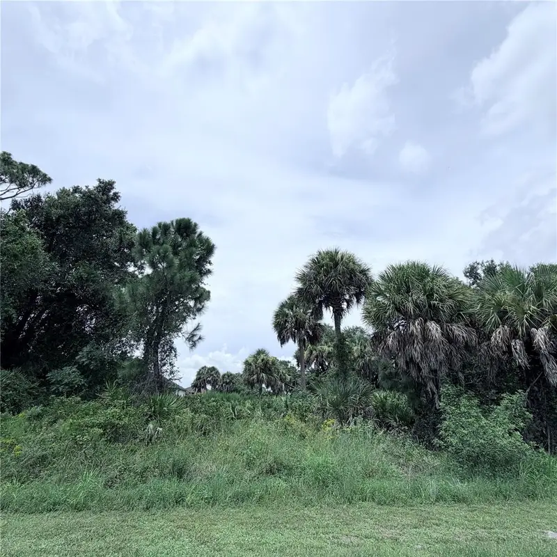 Torino St, FL