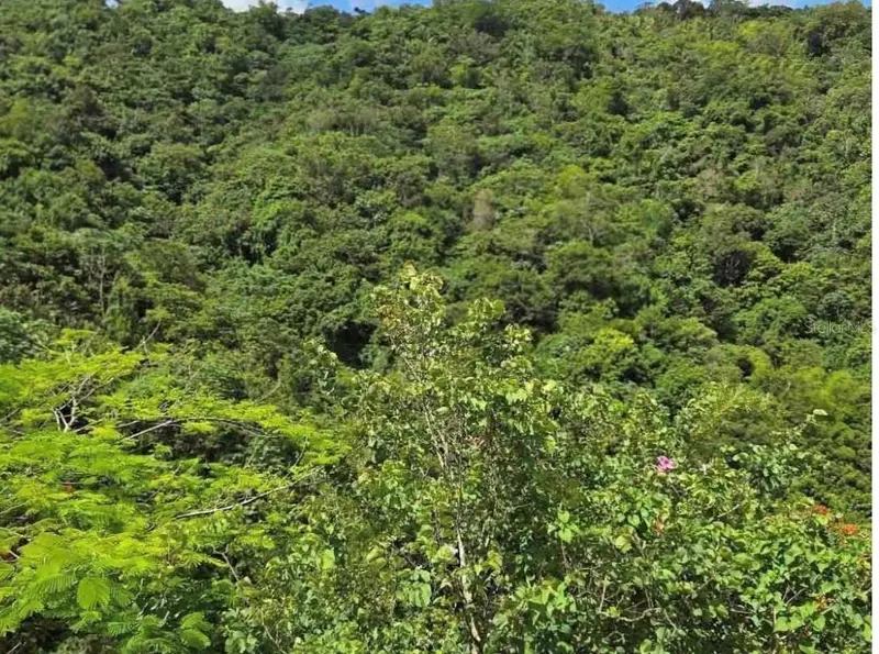 Carr 15 Km 21, PR