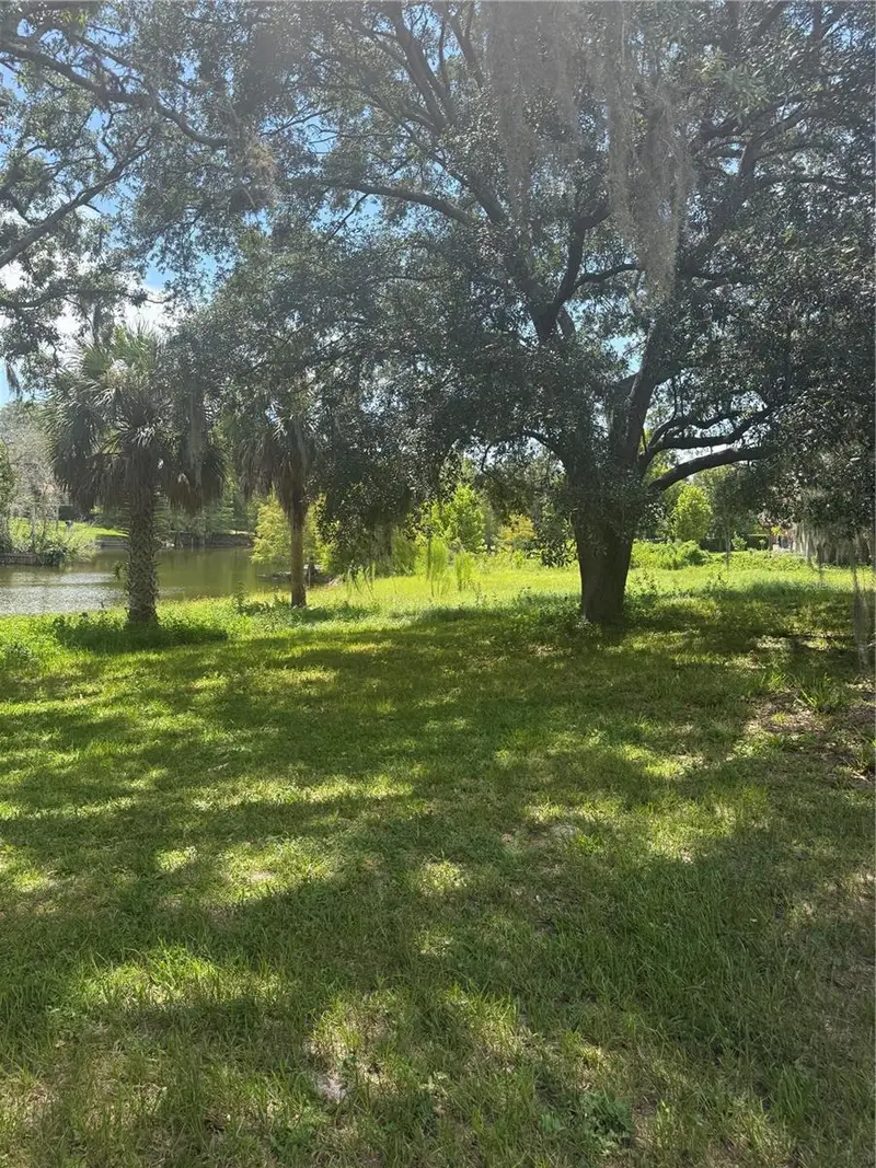 Park Ridge Gotha Rd, FL