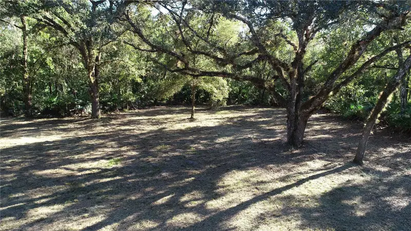 S County Road 13, FL