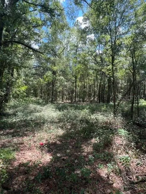 16958 Nw Us Hwy 441 Hwy Nw, FL