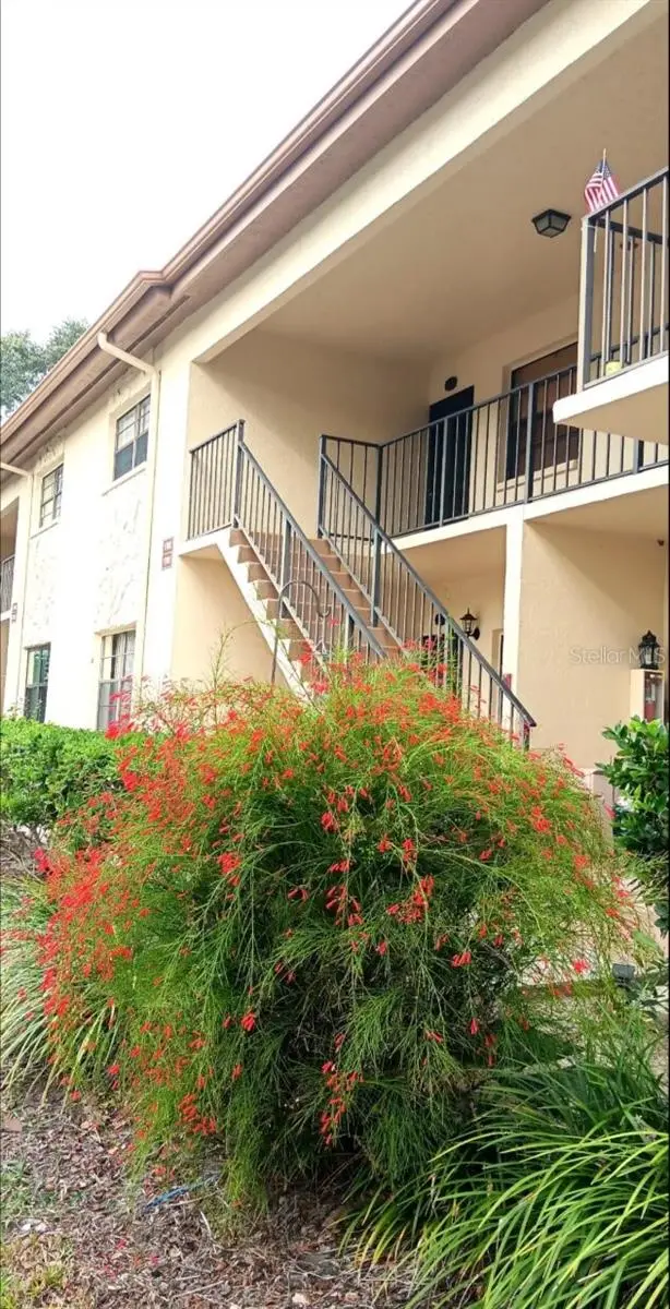 1702 Seascape Cir #203, FL