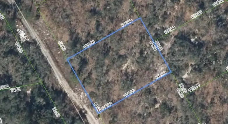 289 Blue Horizon Dr, FL
