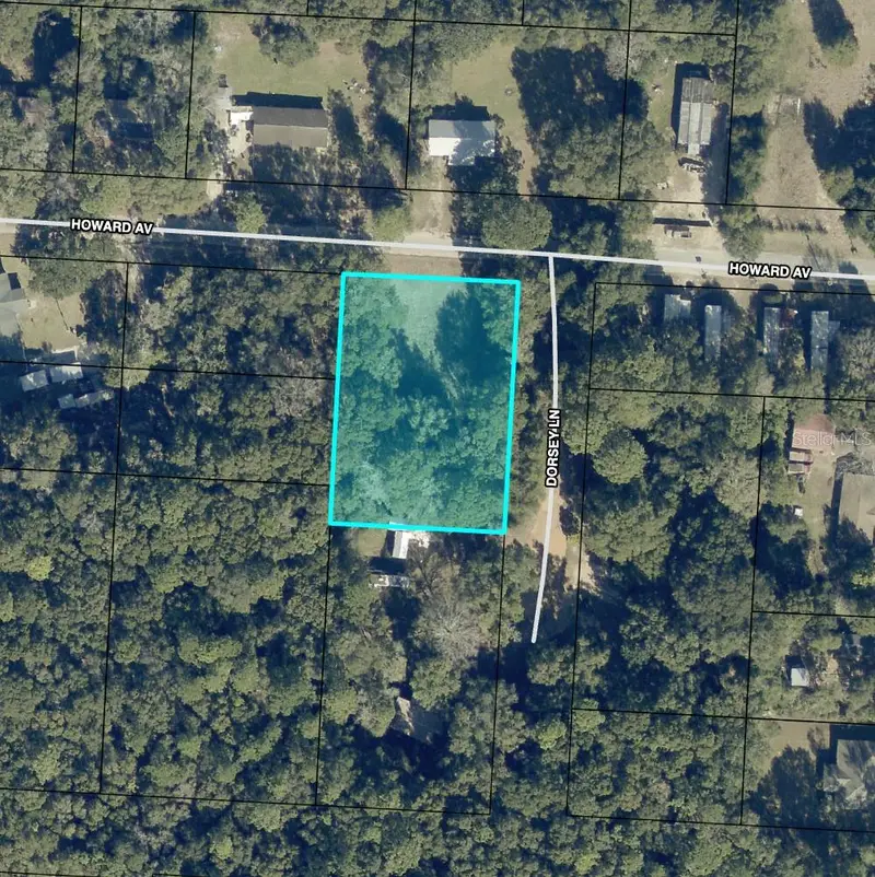 6921 Dorsey Ln, FL