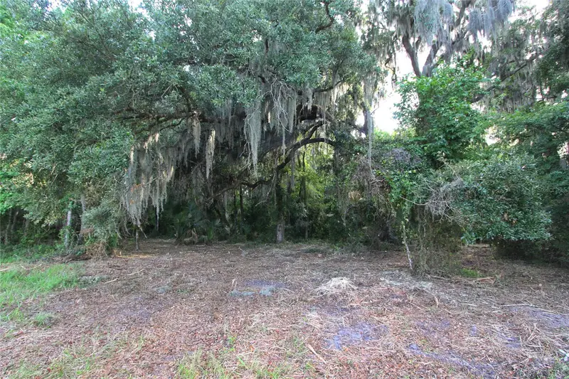 Sumterville listing