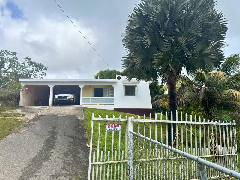 Bo Montones Carr 917, PR