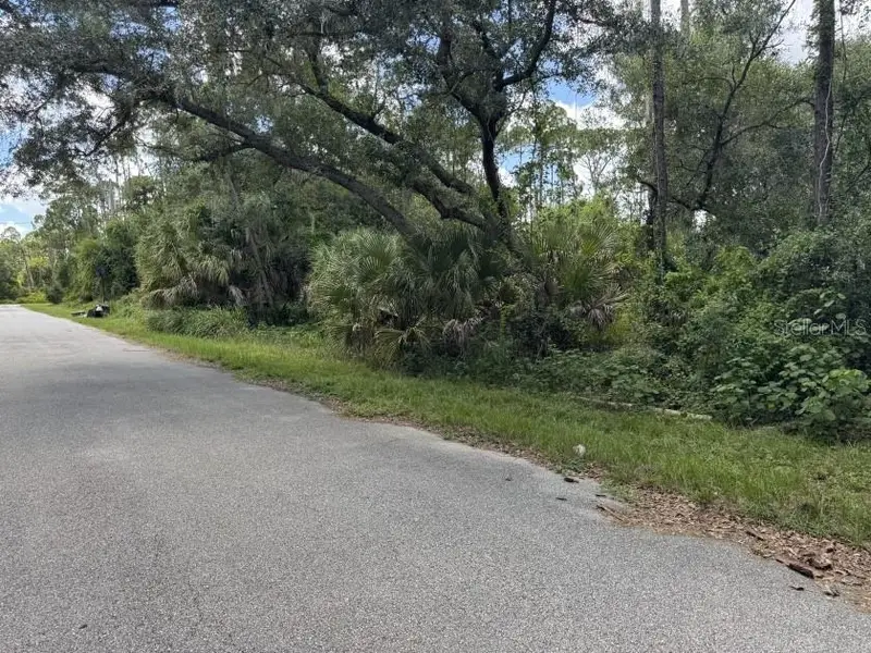 Scanlon Ave, FL