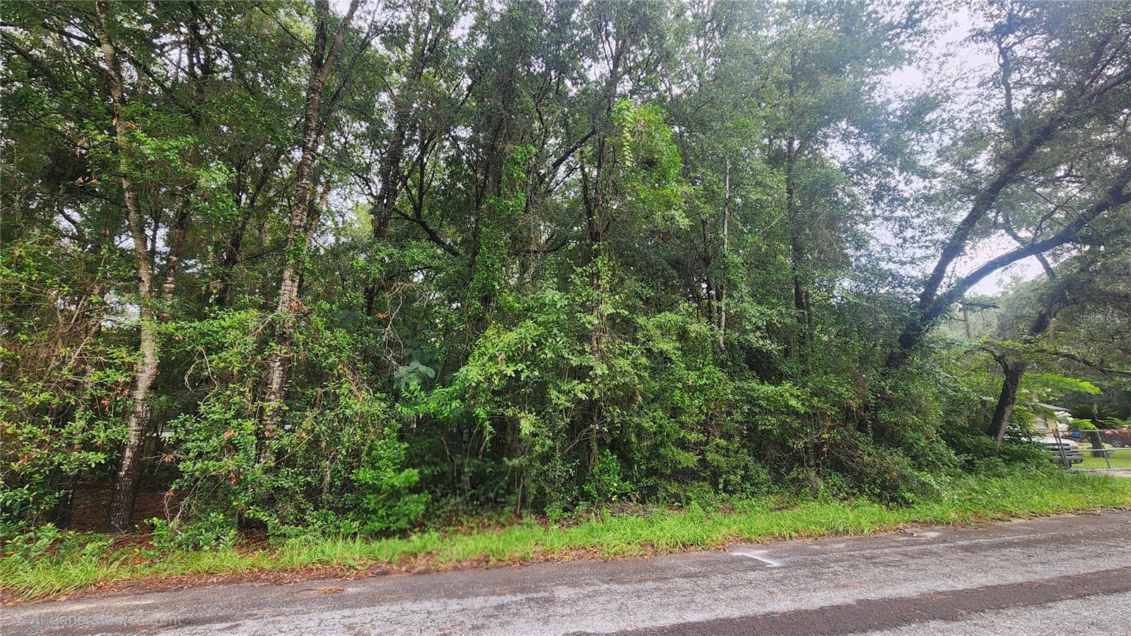 3874 S Gemini Pt, FL