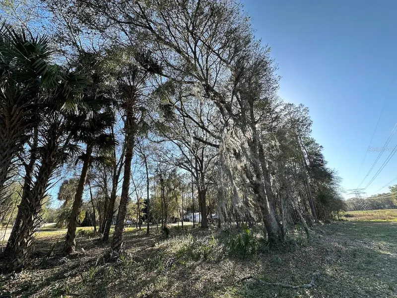 Tbd Ne 151 Ln, FL